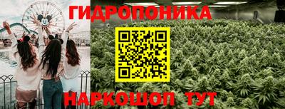 jwh Новодвинск