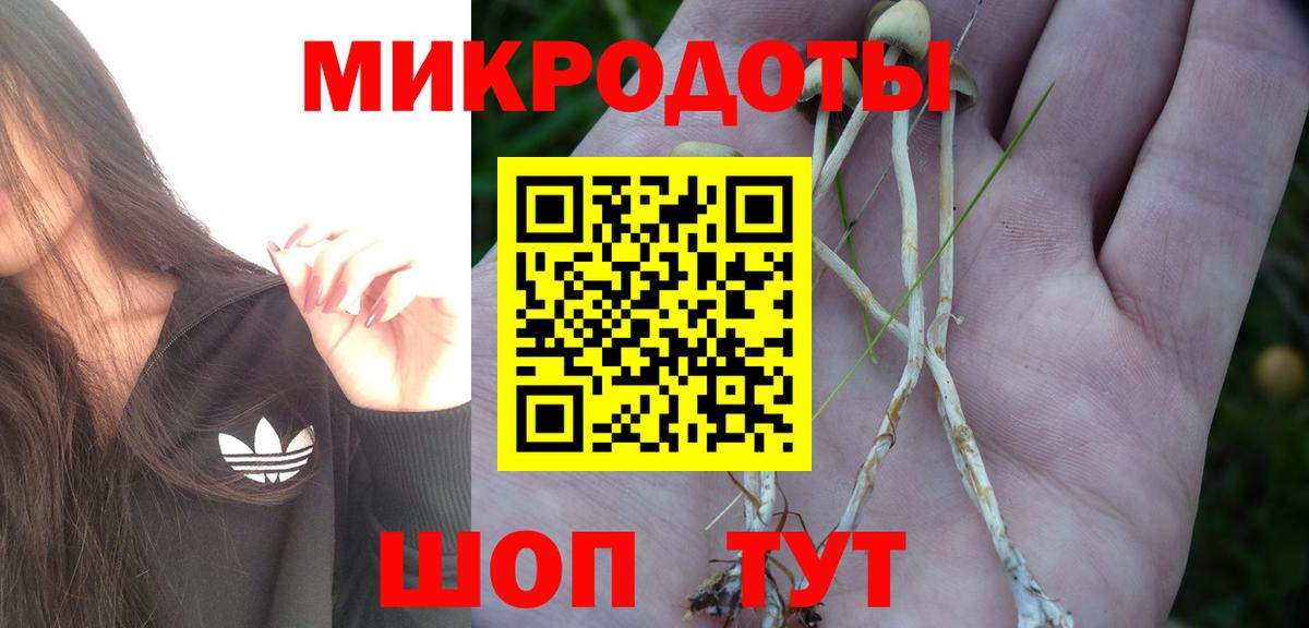 Галлюциногенные грибы GOLDEN TEACHER Туймазы