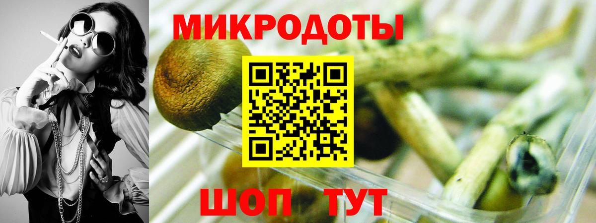 Туймазы  Псилоцибиновые грибы Cubensis  Галлюциногенные грибы ЛСД  Вход с VPN 